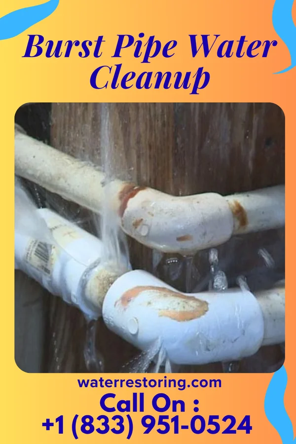 Burst Pipe Water Cleanup in Reiffton, PA