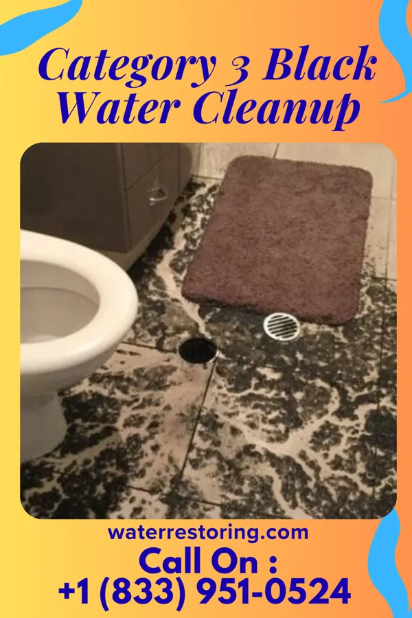 Category 3 Black Water Cleanup in Reiffton, PA