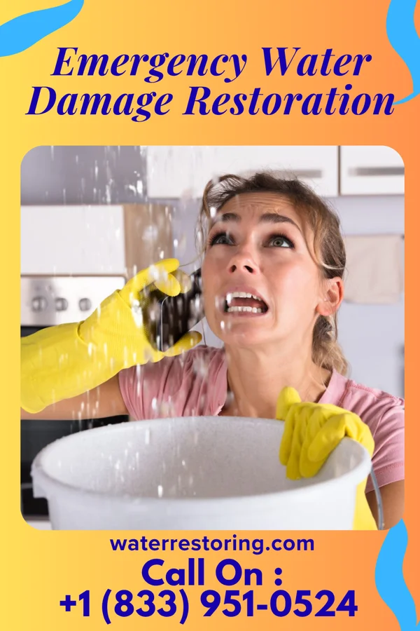 Emergency Water Damage Restoration in Reiffton, PA